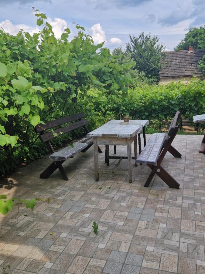 Berger Pince-vendégház, Hajósi pincék Esterno foto